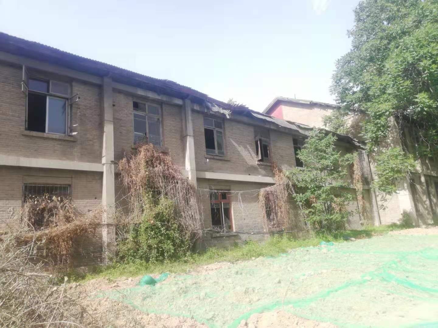 yl23411